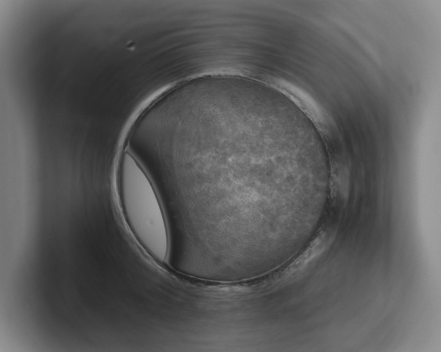 X0000101950804200807251133