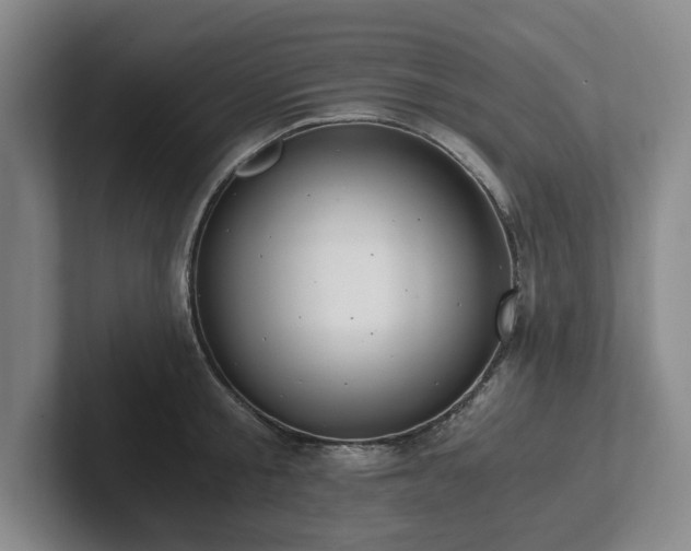 X0000101950805200807251133