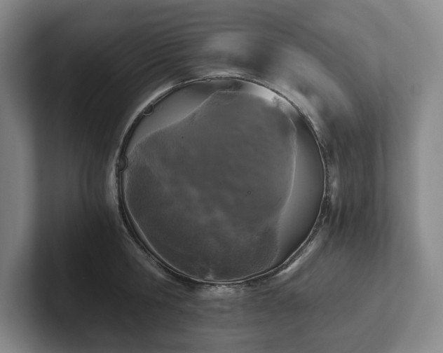 X0000101950806200807251133