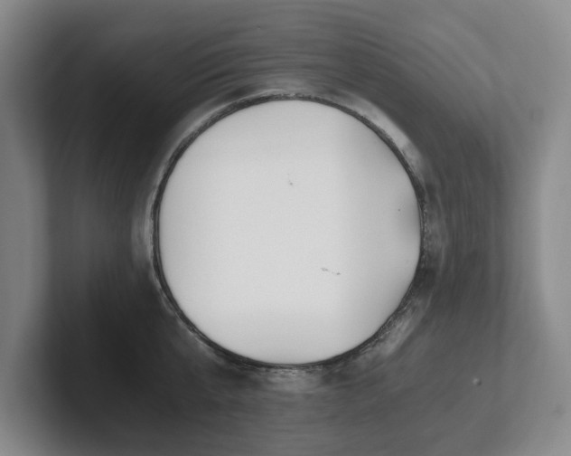 X0000101950807200807251133