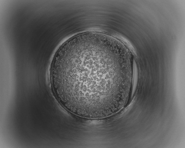 X0000101950808200807251133