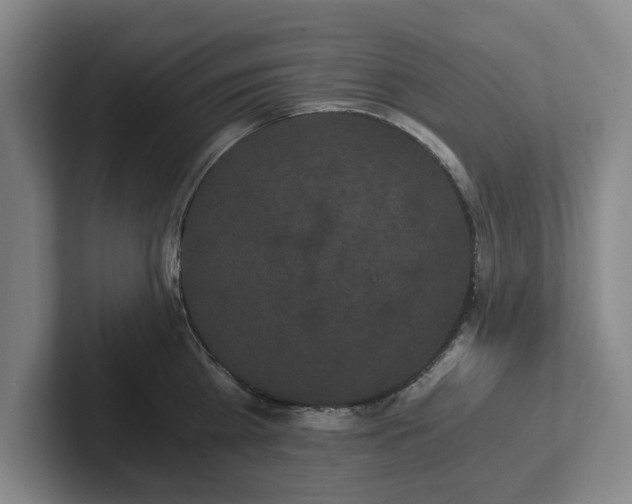 X0000101950809200807251133