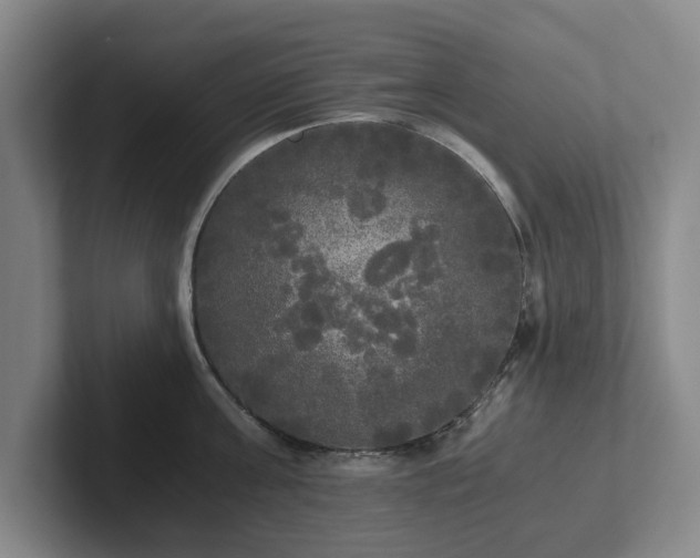 X0000101950811200807251133