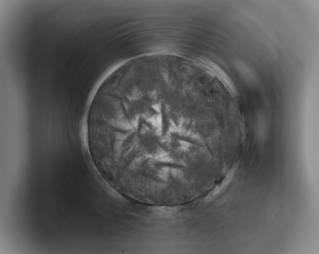 X0000101950812200807251133