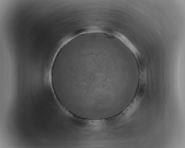 X0000101950813200807251133