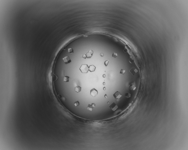 X0000101950814200807251133