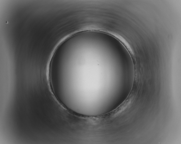 X0000101950815200807251133