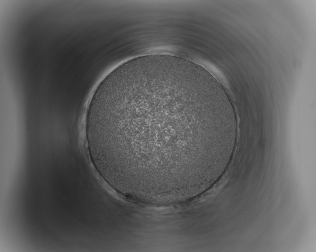 X0000101950816200807251133