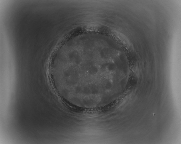 X0000101950817200807251132