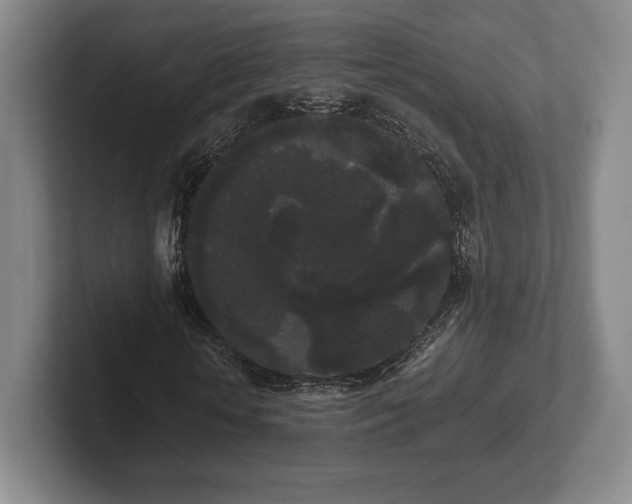 X0000101950818200807251132