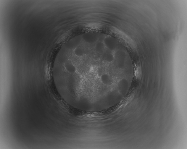 X0000101950819200807251132