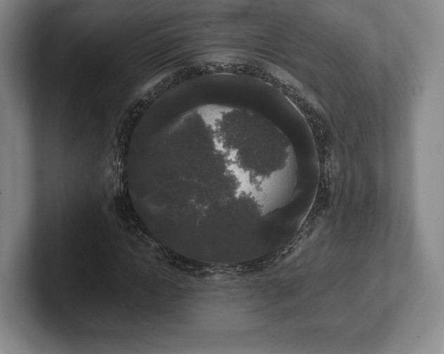 X0000101950822200807251132