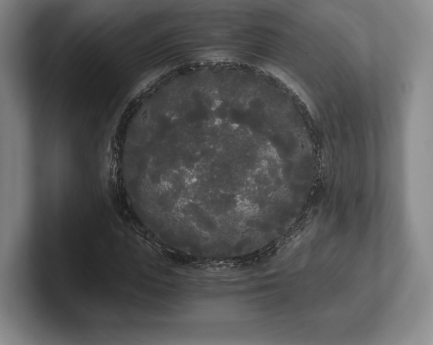 X0000101950823200807251132