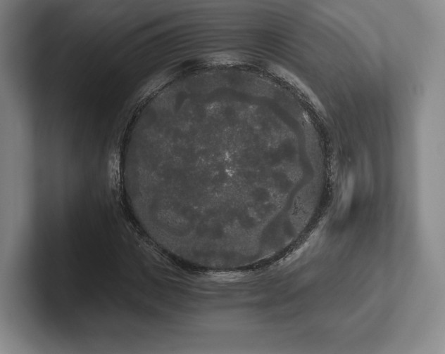 X0000101950825200807251132