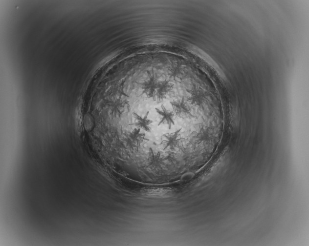 X0000101950826200807251132