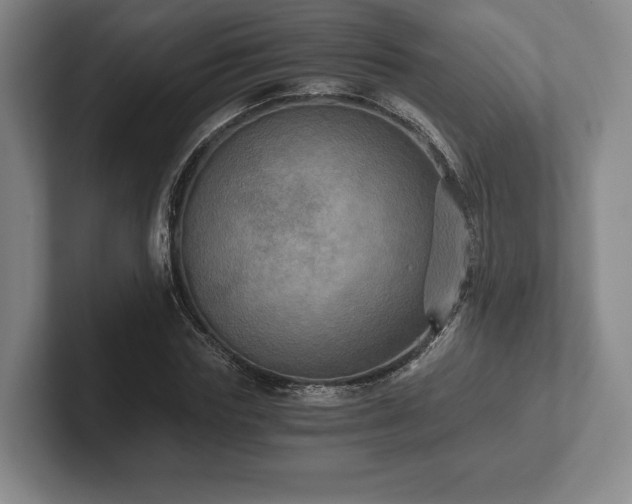 X0000101950827200807251132