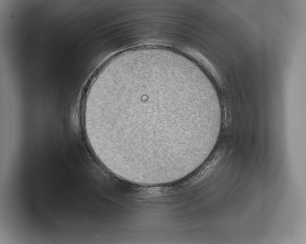 X0000101950828200807251132