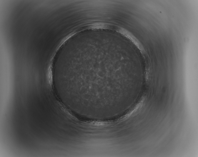 X0000101950829200807251132