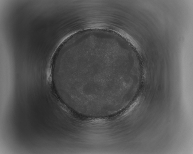 X0000101950830200807251133