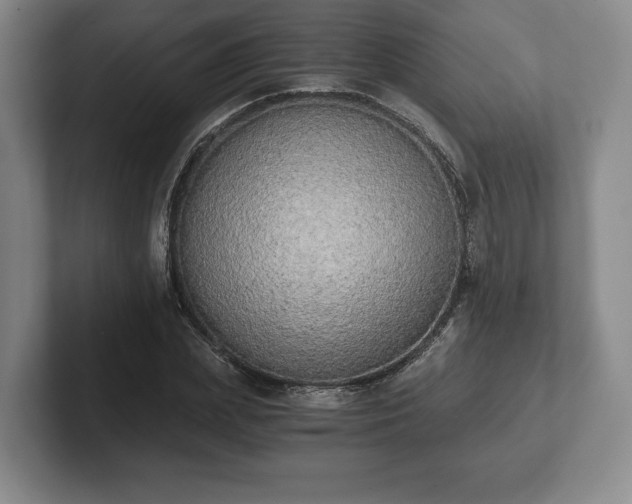 X0000101950831200807251133