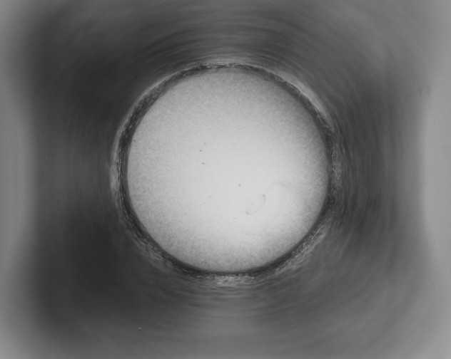 X0000101950832200807251133