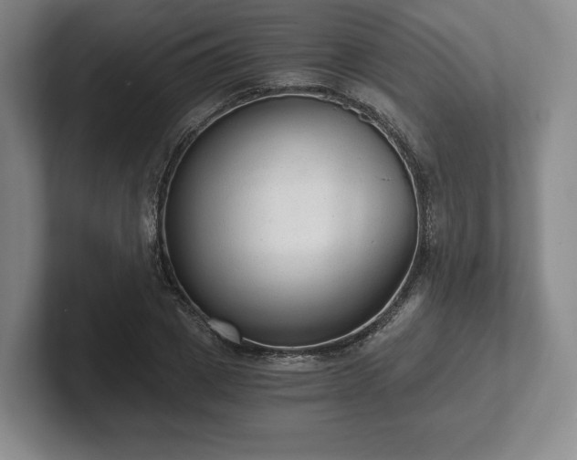 X0000101950833200807251133