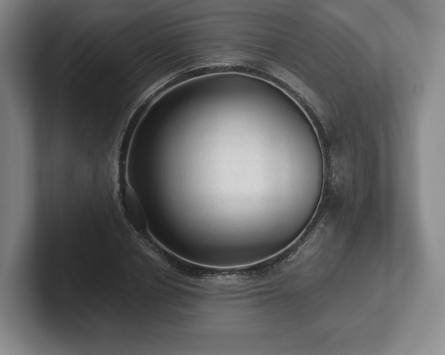 X0000101950834200807251133