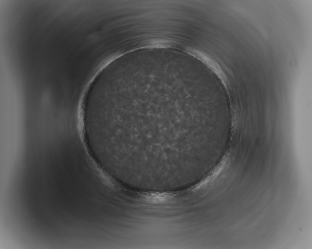 X0000101950835200807251133