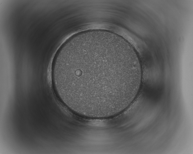 X0000101950836200807251133