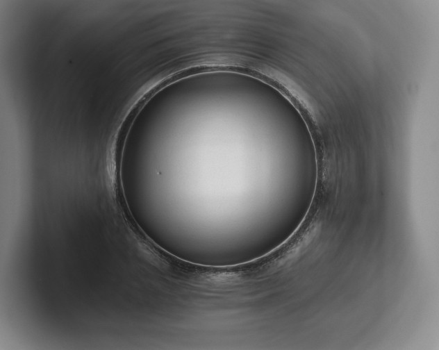 X0000101950837200807251133