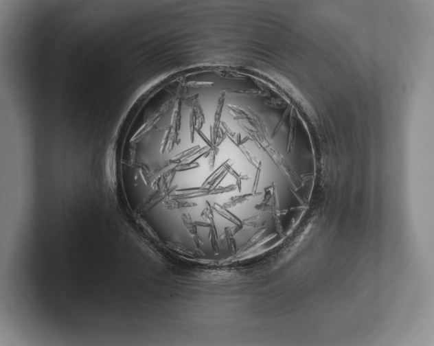 X0000101950838200807251133