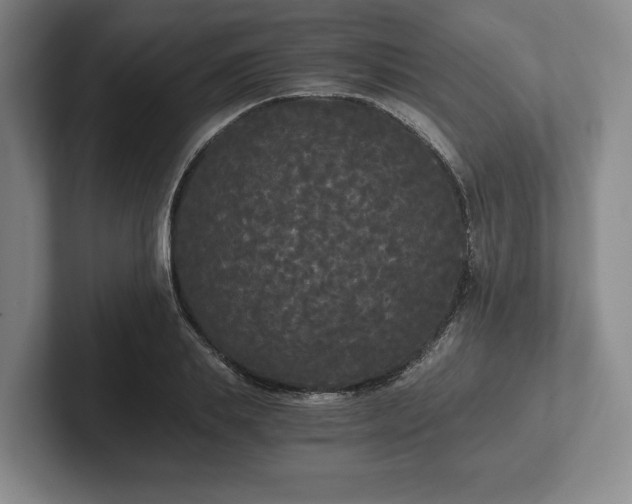 X0000101950839200807251133