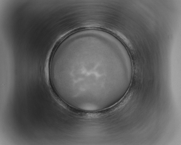 X0000101950840200807251133