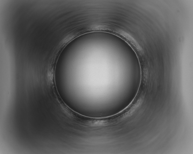 X0000101950841200807251133