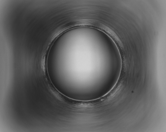 X0000101950842200807251133