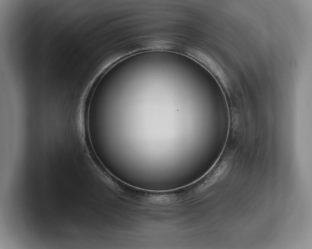 X0000101950843200807251133