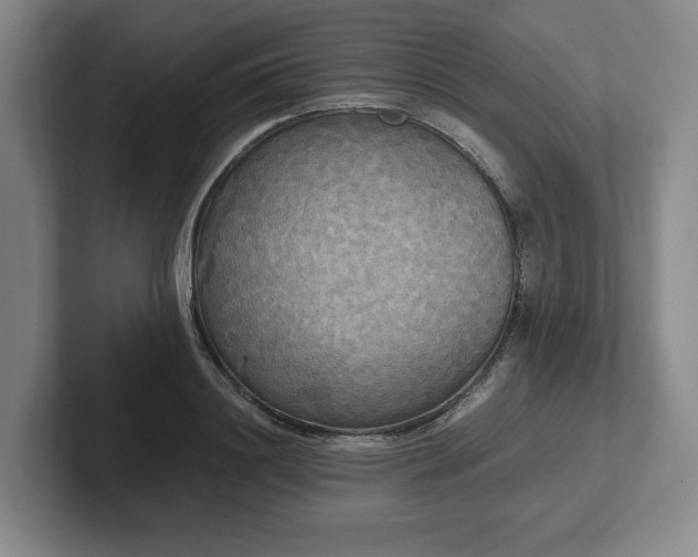 X0000101950844200807251133