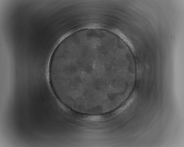 X0000101950845200807251133