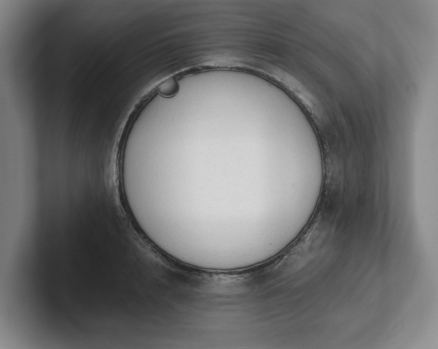 X0000101950848200807251133