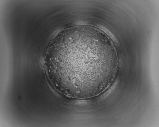 X0000101950849200807251133