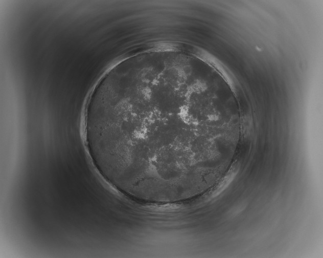 X0000101950851200807251133