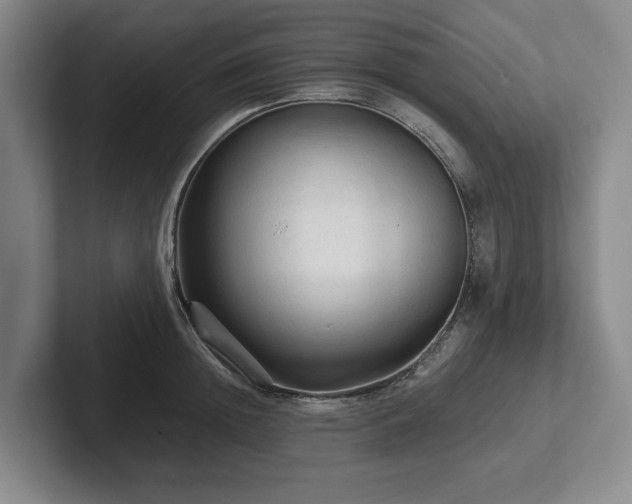 X0000101950852200807251133