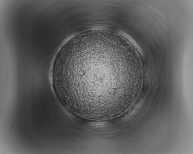 X0000101950853200807251133