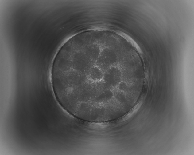 X0000101950855200807251133