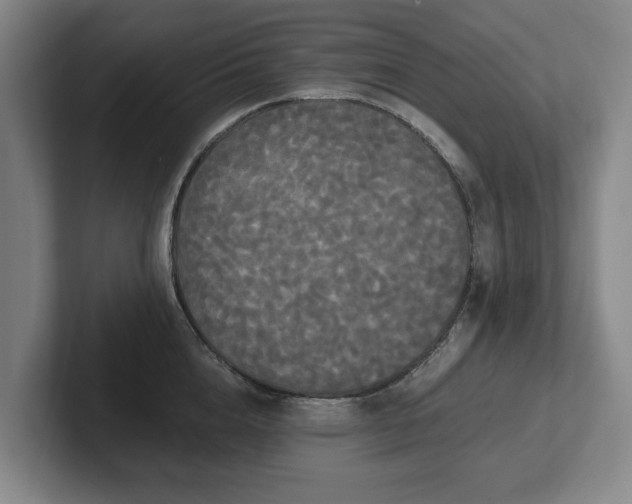 X0000101950856200807251133