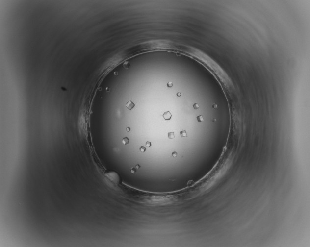 X0000101950857200807251133