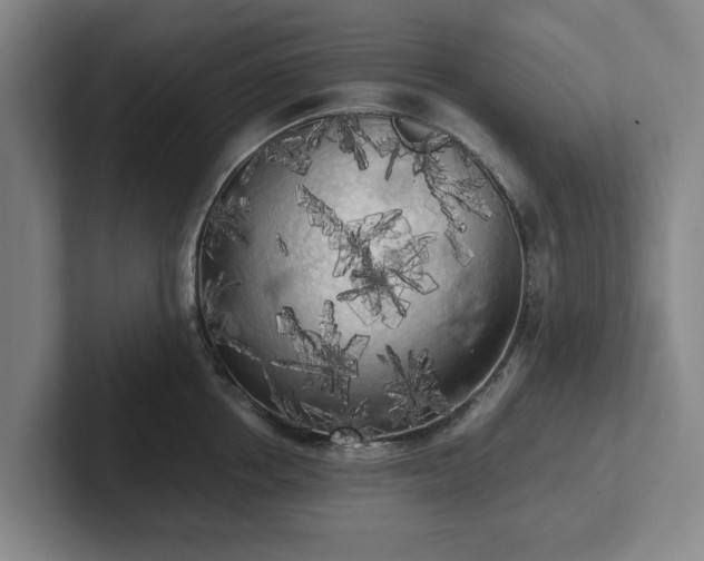 X0000101950858200807251133