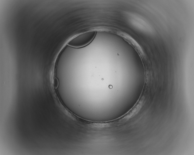 X0000101950860200807251133