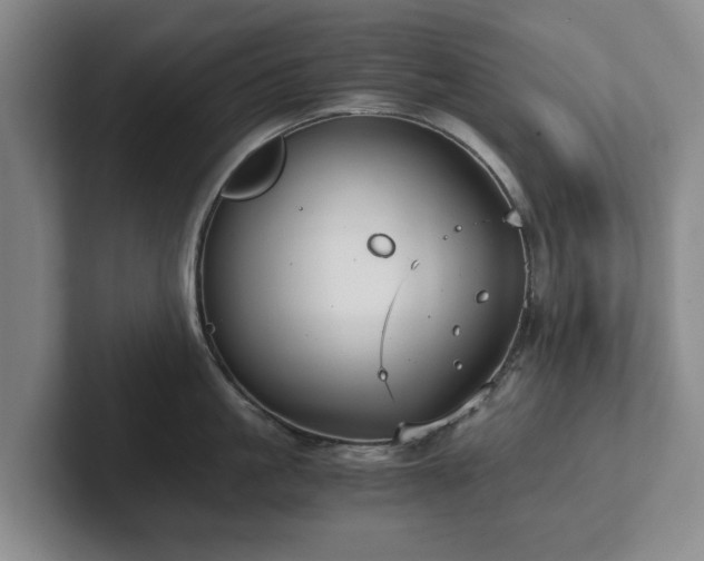 X0000101950861200807251133