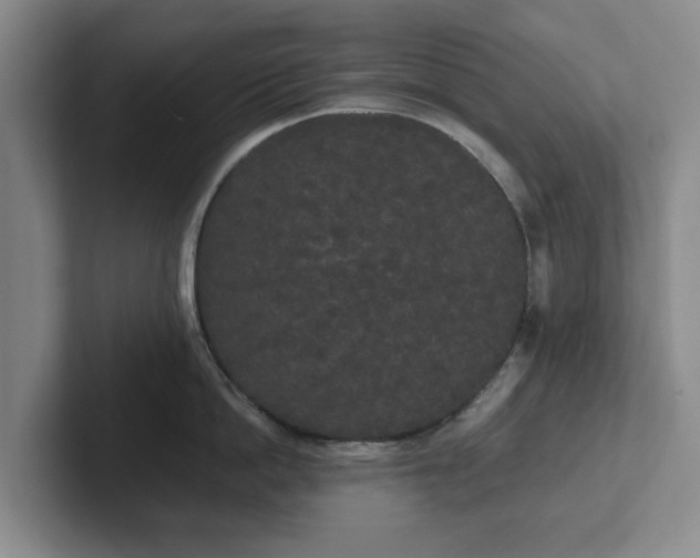 X0000101950862200807251133